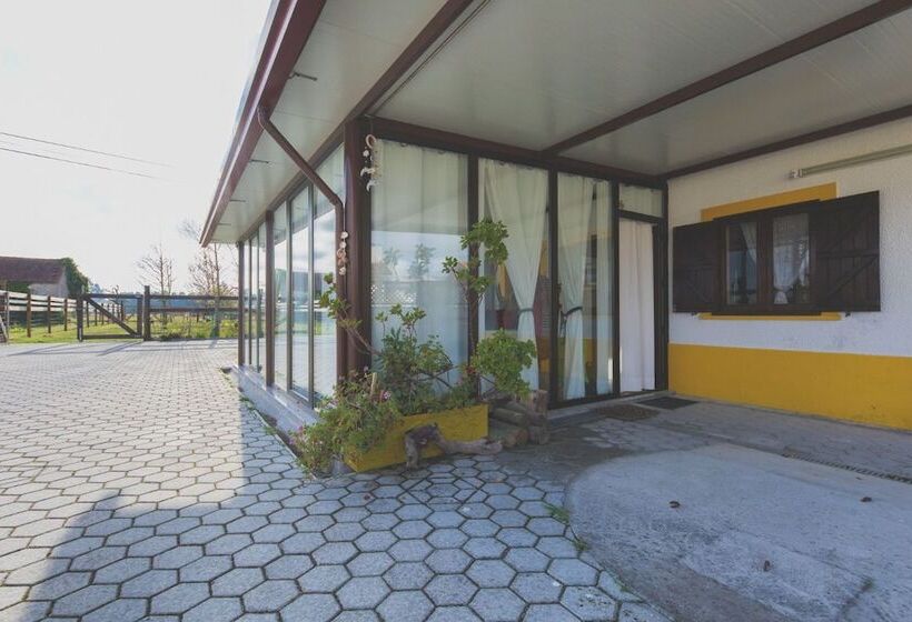 Recoleta Da Praia Velha