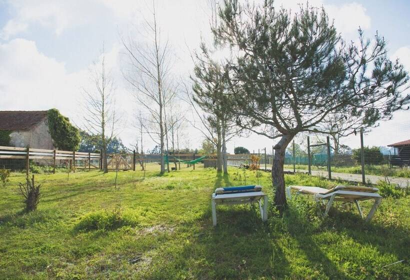 Recoleta Da Praia Velha