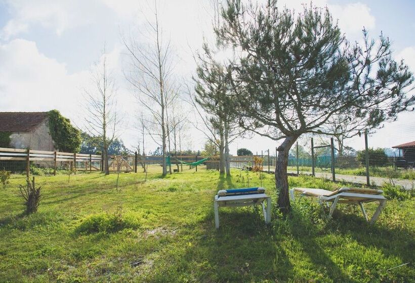 Recoleta Da Praia Velha