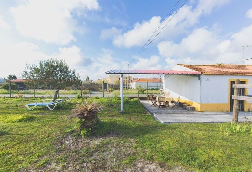 Recoleta Da Praia Velha