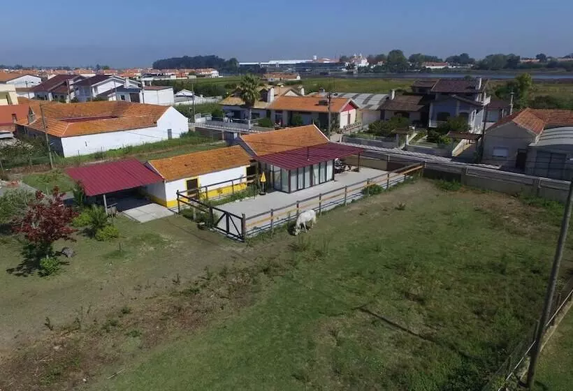 Recoleta Da Praia Velha