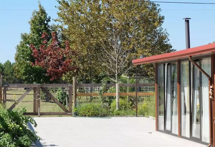 Recoleta Da Praia Velha