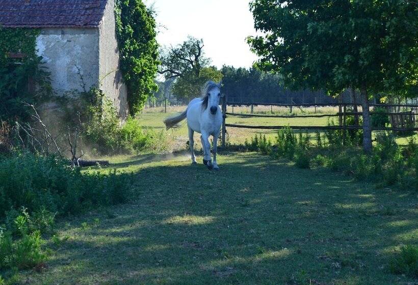 Recoleta Da Praia Velha