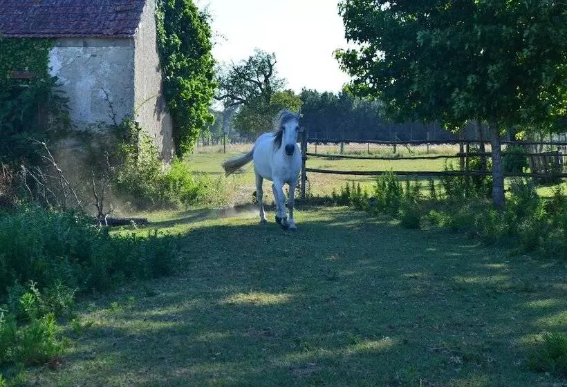 Recoleta Da Praia Velha