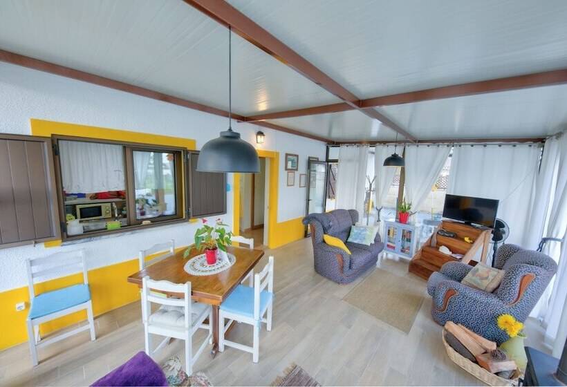 Recoleta Da Praia Velha