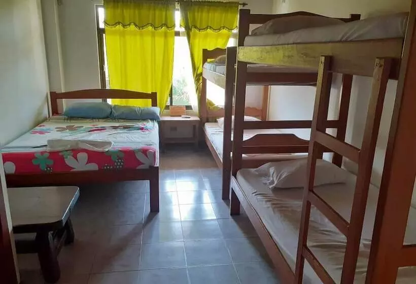 Tauma Hostal & Camping