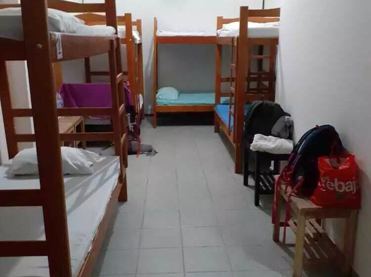 Tauma Hostal & Camping