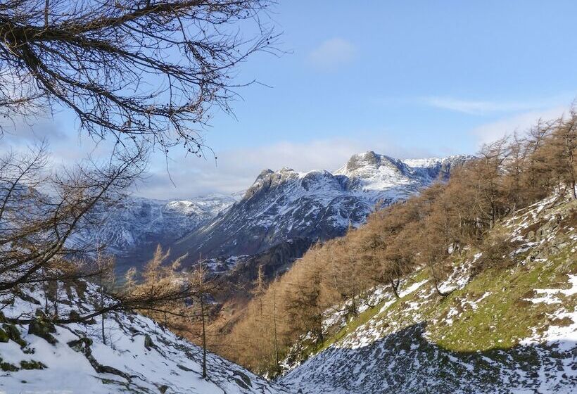 Rowan   Woodland Cottages