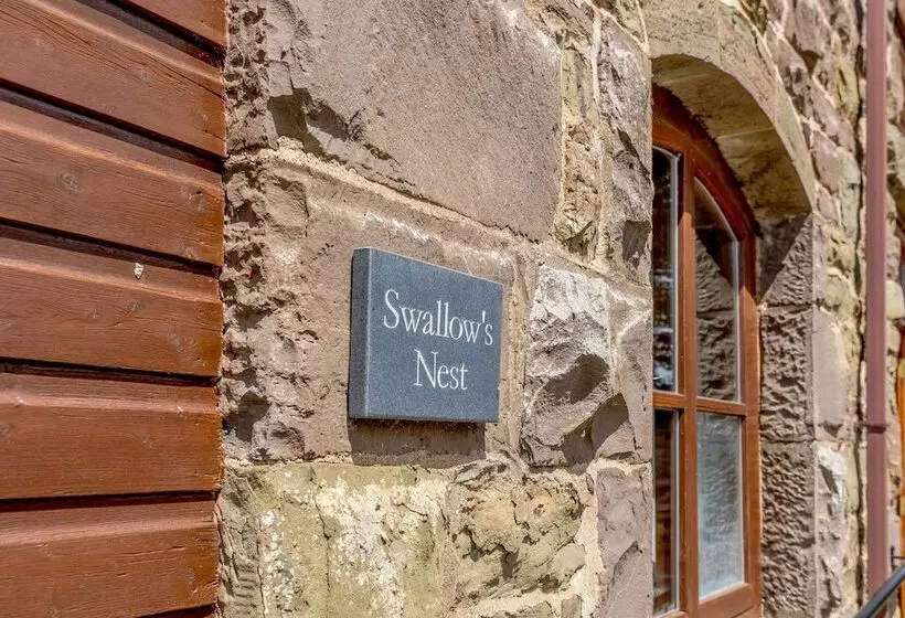 Swallow S Nest