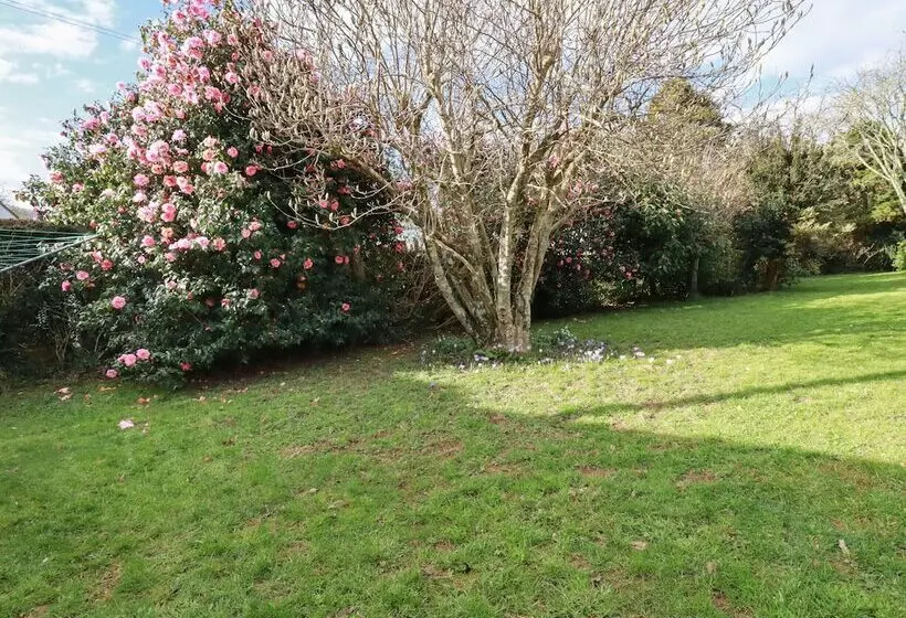 5 Carlyon Road