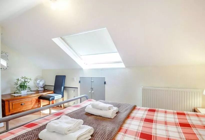 7 Dolydd Terrace