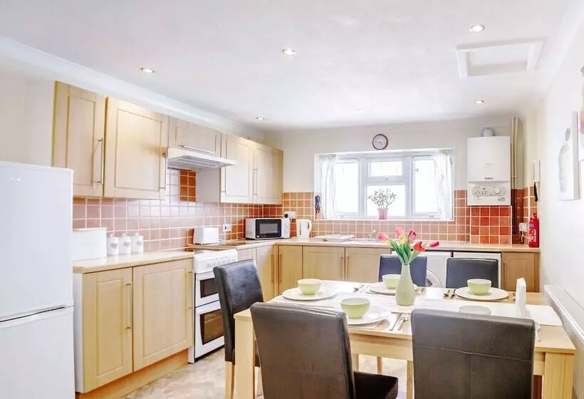 7 Dolydd Terrace