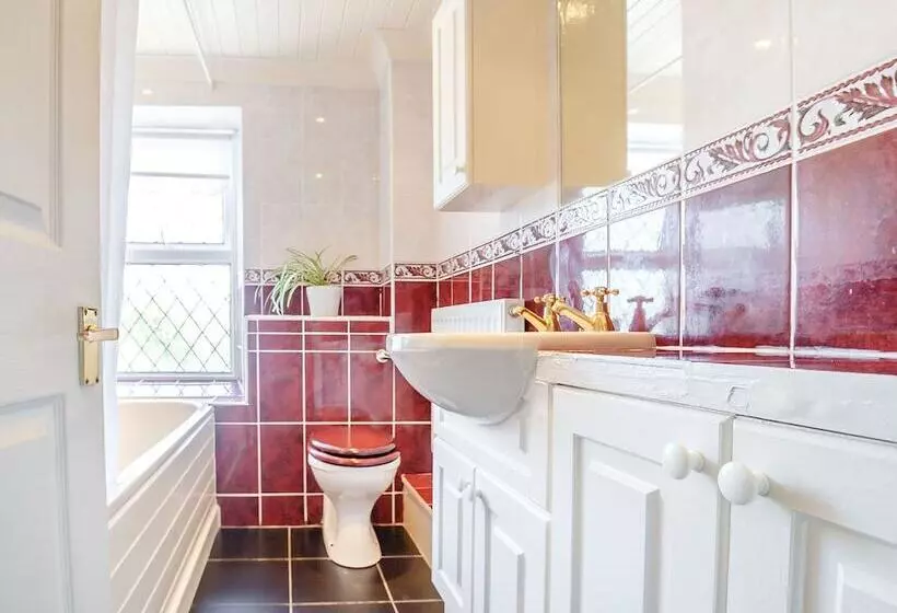 7 Dolydd Terrace