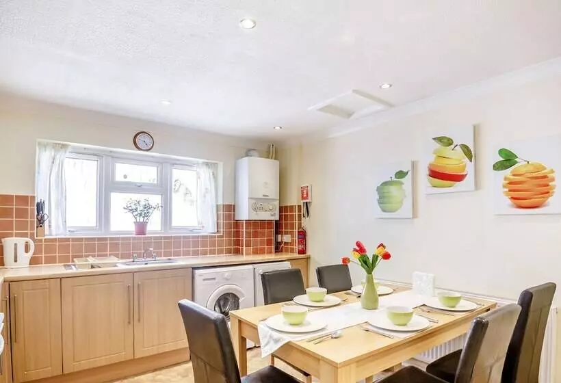 7 Dolydd Terrace