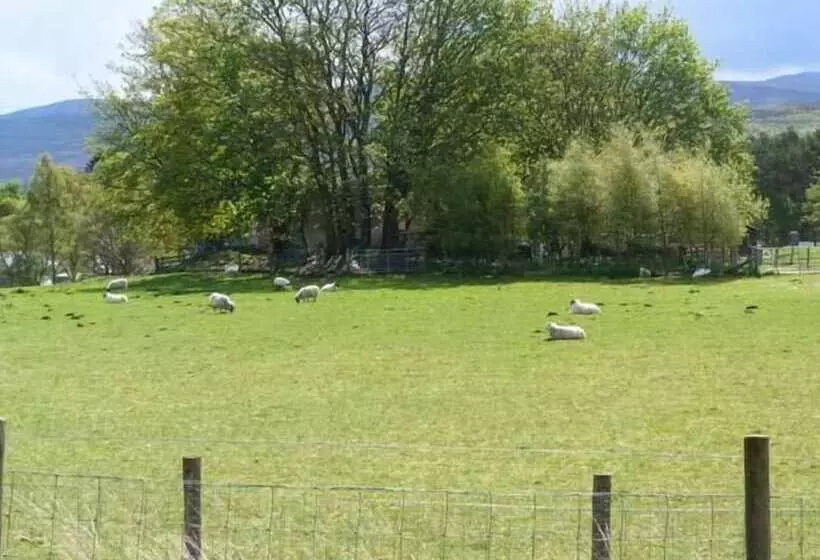Fronthill