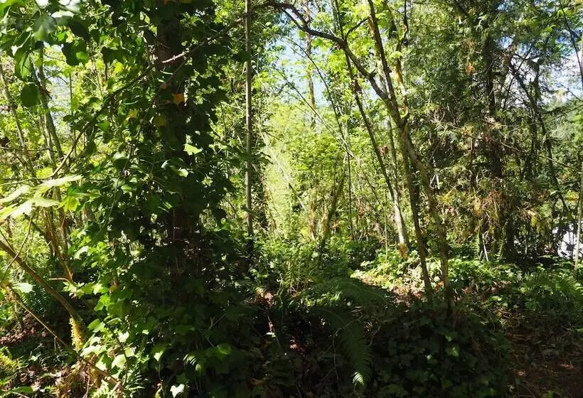 Aamiaismajoitus (B&B) Puravida Retreat