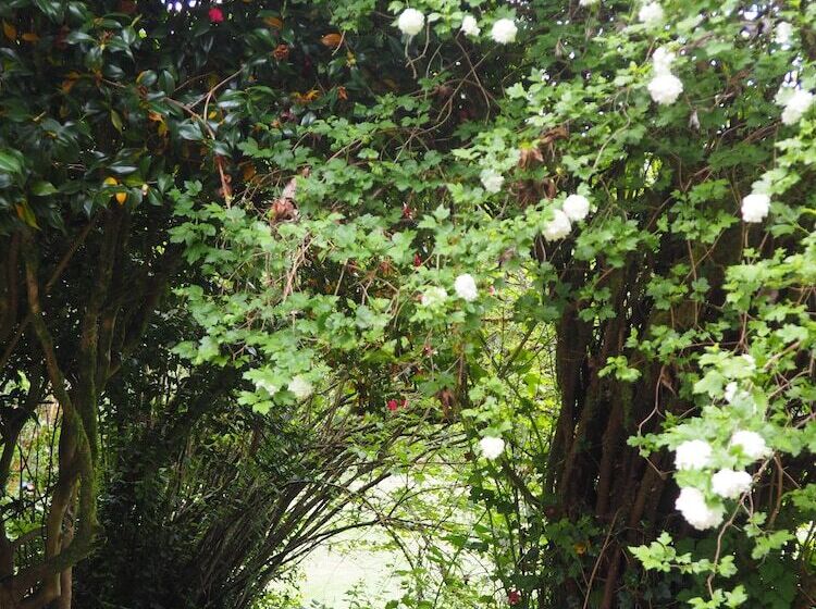 Bed and Breakfast Puravida Retreat