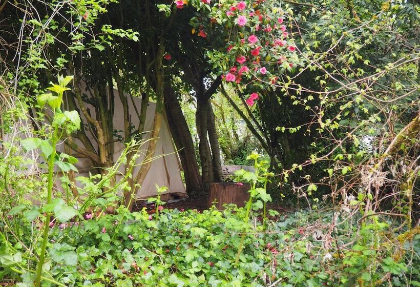 Bed and Breakfast Puravida Retreat