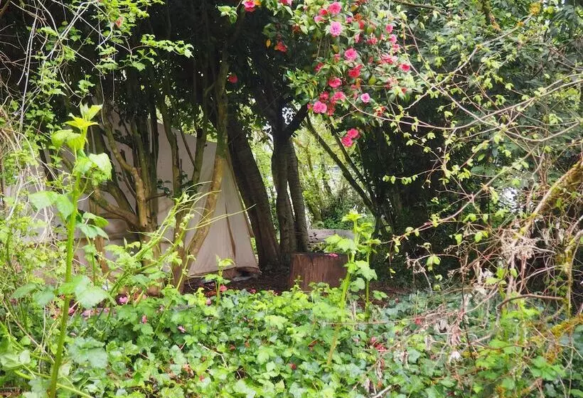 Aamiaismajoitus (B&B) Puravida Retreat