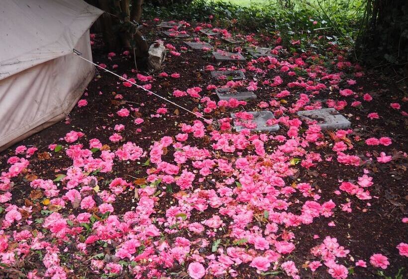 Bed and Breakfast Puravida Retreat