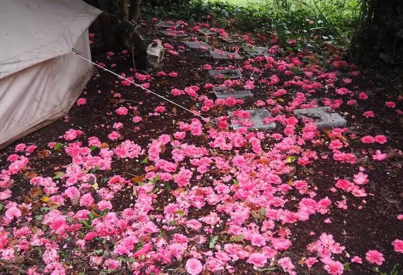 Aamiaismajoitus (B&B) Puravida Retreat