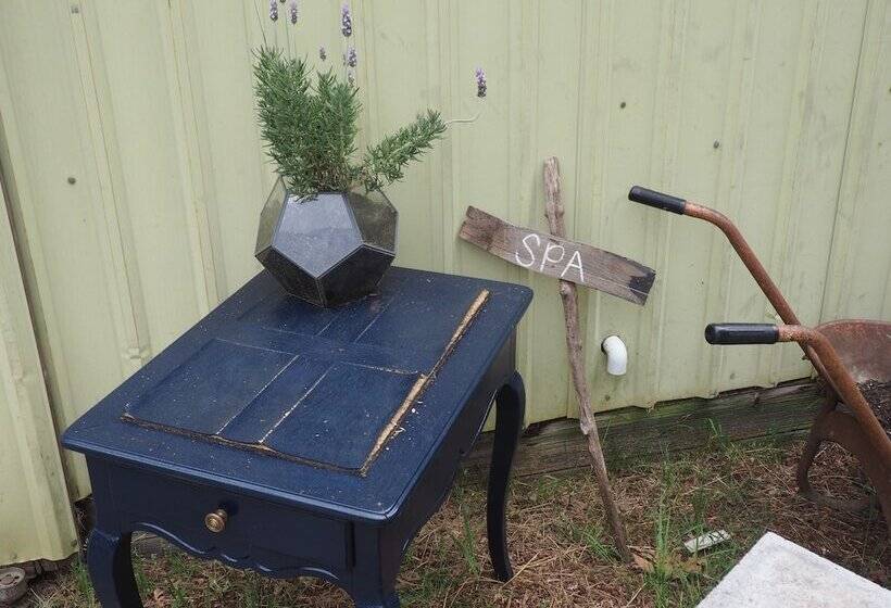 Bed and Breakfast Puravida Retreat