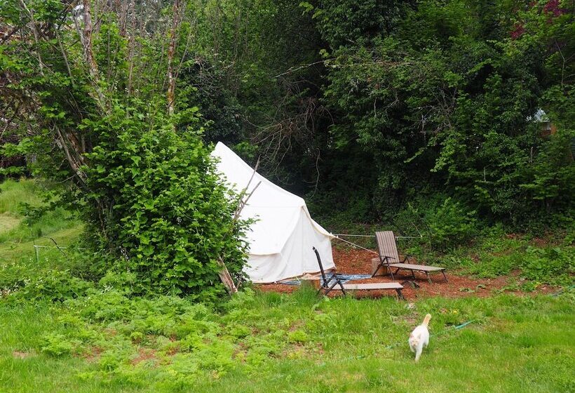 Bed and Breakfast Puravida Retreat