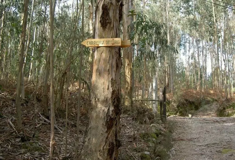 Cerrado Do Cruzeiro
