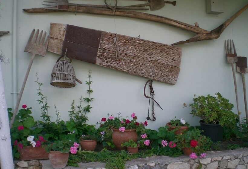 Hotel Patara Viewpoint