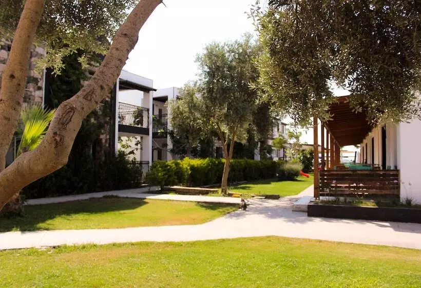 Kemancı Suites & Restaurant & Beach