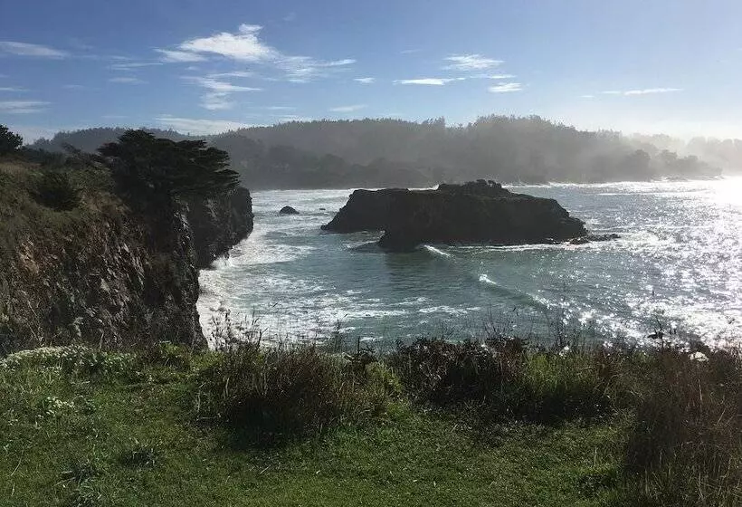 Mendocino Grove