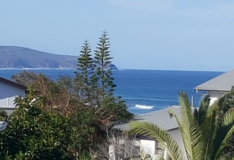 بنسيون At 29 Columba