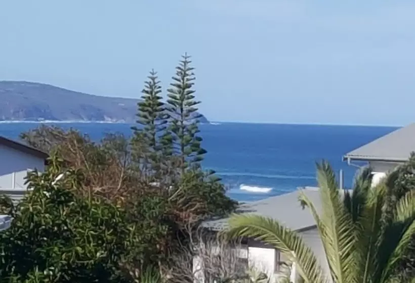 Majatalo At 29 Columba