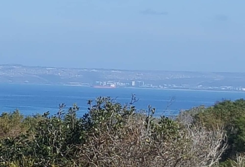 بنسيون At 29 Columba