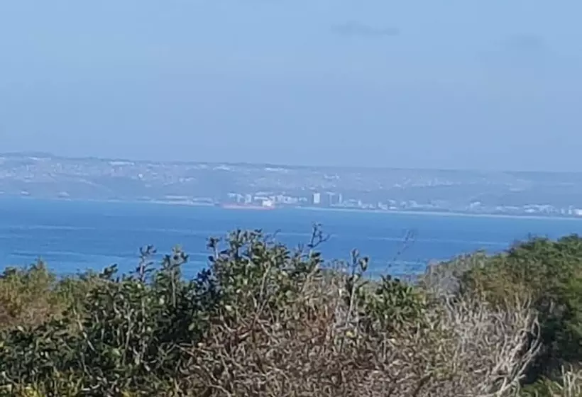 Majatalo At 29 Columba