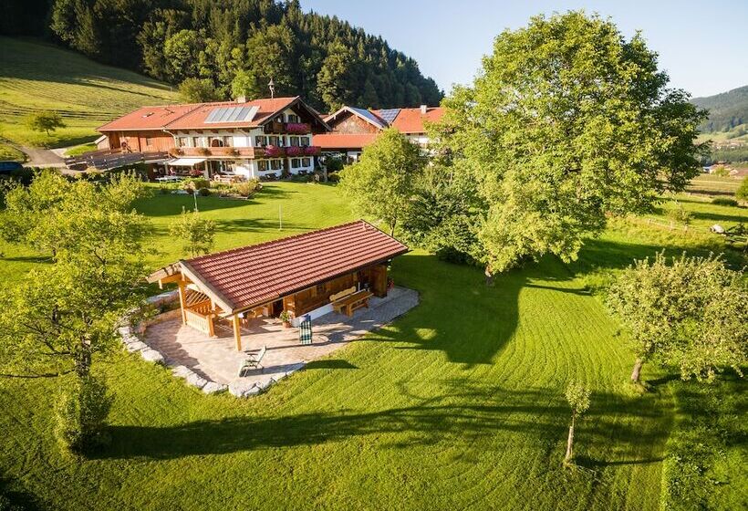 膳宿费 Dammerer Hof