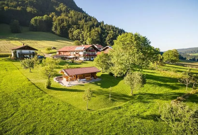 Majatalo Dammerer Hof