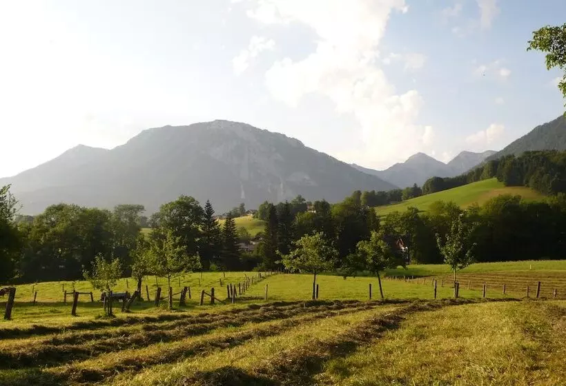 Majatalo Dammerer Hof