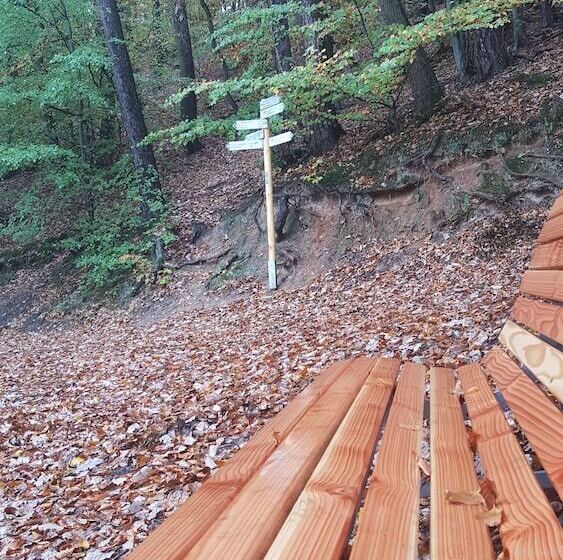 פנסיון Rhein Pearl Am Rheinsteig