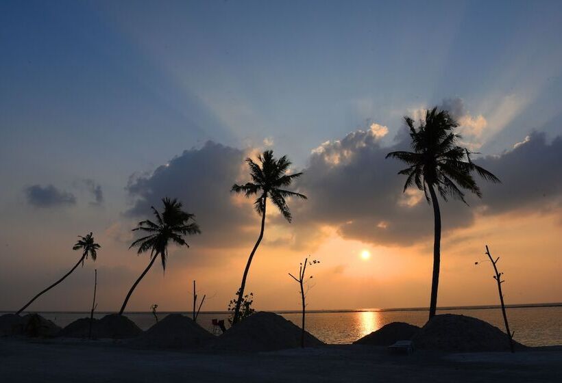 پانسیون Savaa Home