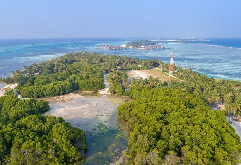 پانسیون Savaa Home