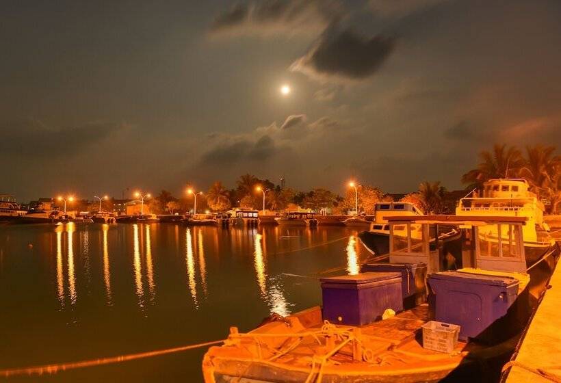 پانسیون Savaa Home