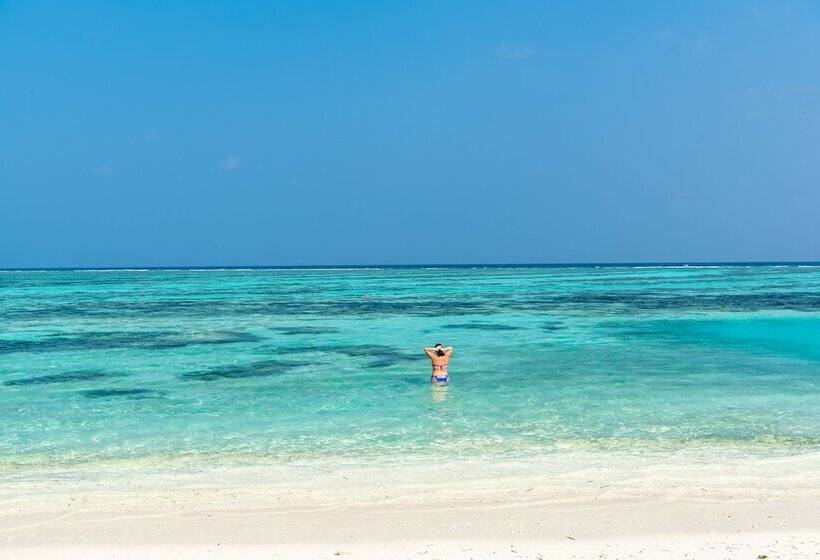 پانسیون Savaa Home