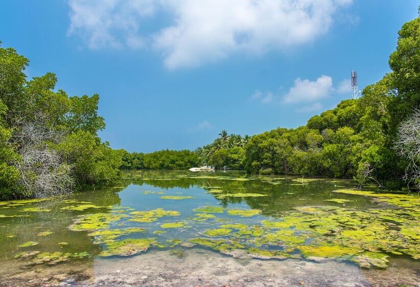 پانسیون Savaa Home