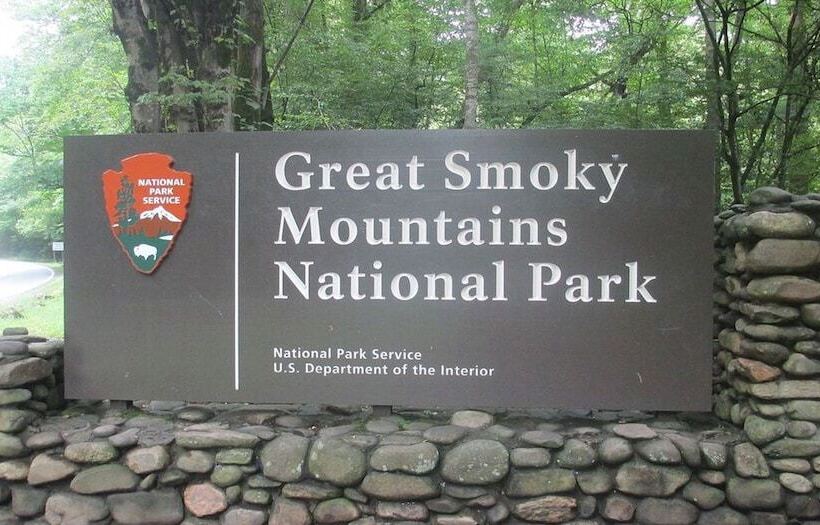 Wonderland Dream By Hosteeva