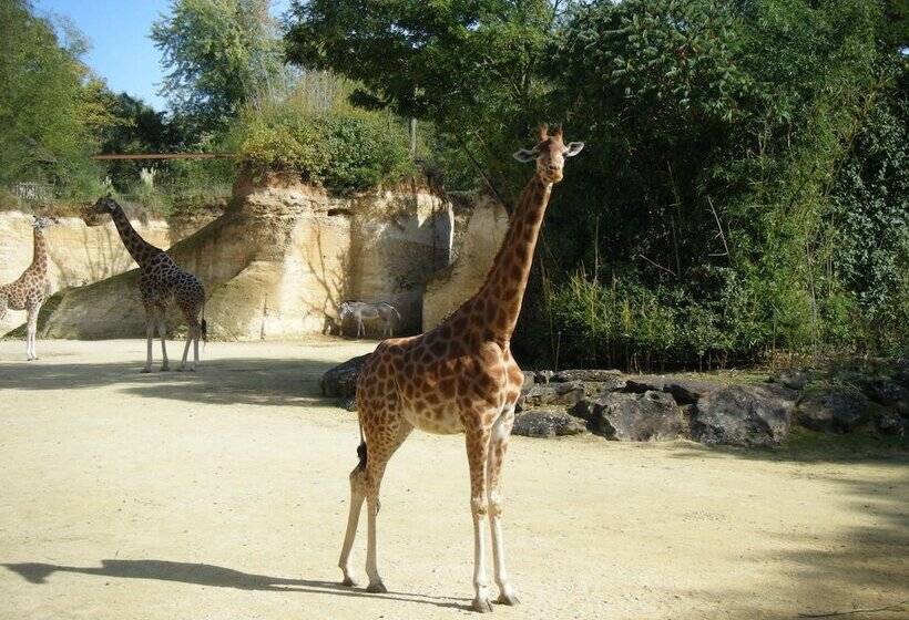 住宿加早餐 Le Logis Des Roches D'antan