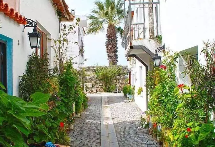 Cakoz Pansiyon