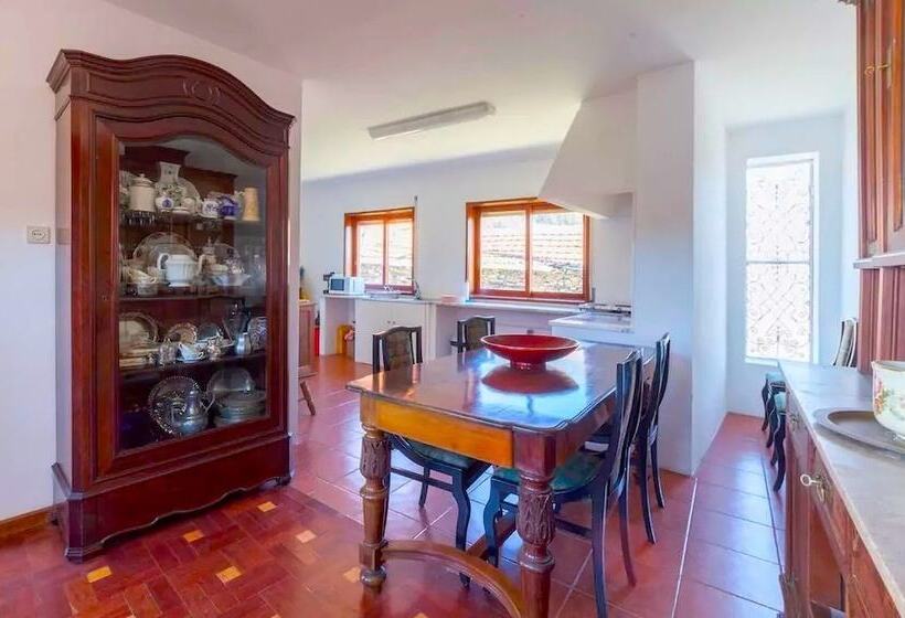 Confortable Countryside House