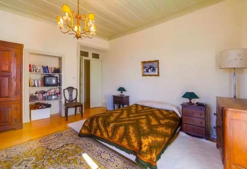 Confortable Countryside House