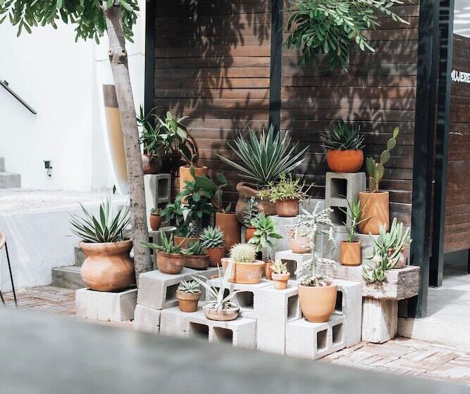 Drift San Jose Del Cabo, A Member Of Design Hotels